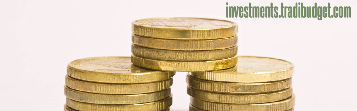 investments.tradibudget.com
